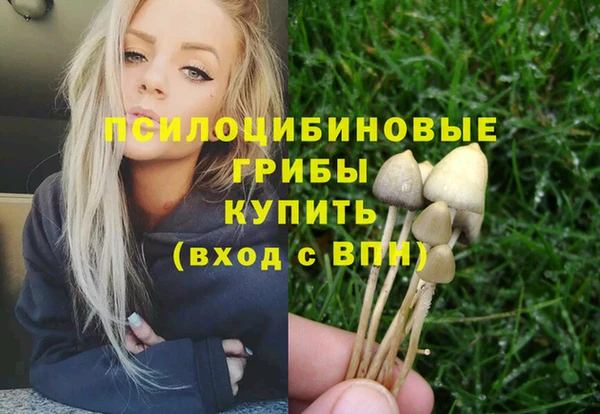 прущий лед Богданович