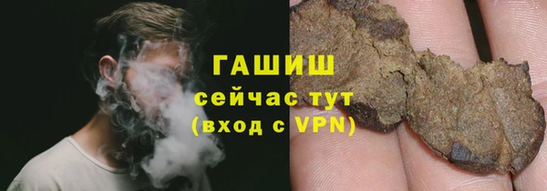 прущий лед Богданович