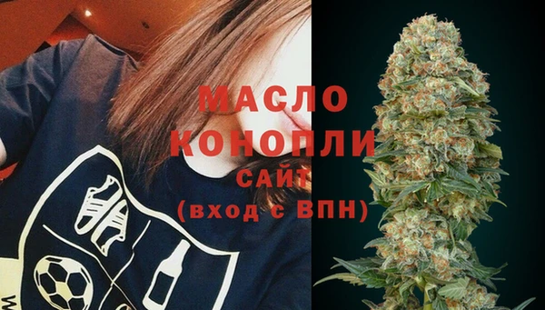прущий лед Богданович