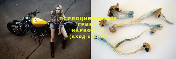 прущий лед Богданович