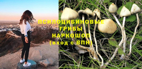 прущий лед Богданович
