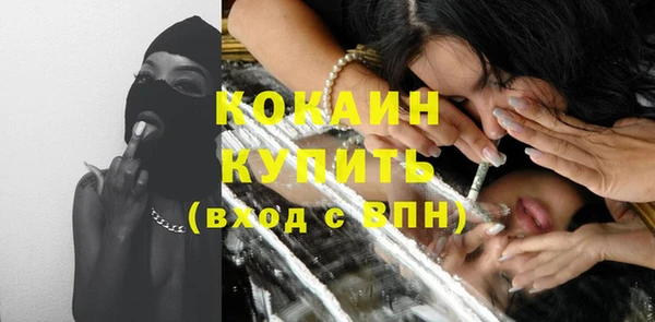 прущий лед Богданович