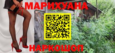 трава Новозыбков