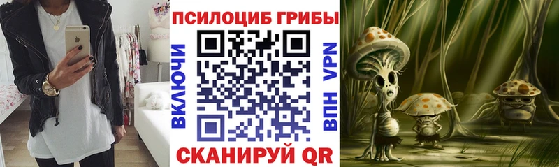 Псилоцибиновые грибы MAGIC MUSHROOMS  omg ССЫЛКА  Среднеуральск 