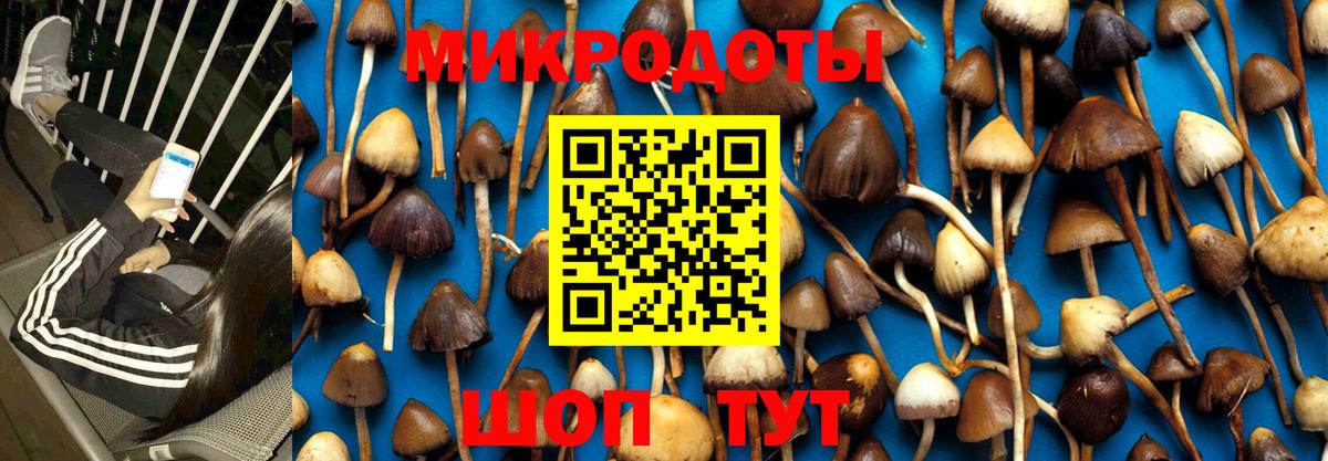 Псилоцибиновые грибы ЛСД Среднеуральск