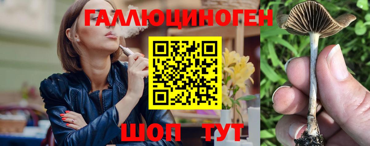 где купить наркотик  Вход с VPN  Среднеуральск  Галлюциногенные грибы мицелий 